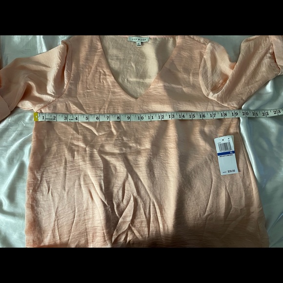 Chiffon Pink Blouse - Picture 13 of 14